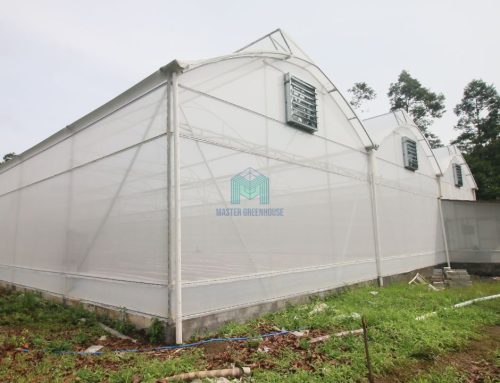 Pembuatan Greenhouse di Tabanan, Bali