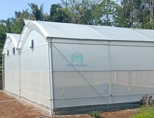 Greenhouse Produksi di Cigombong – Bogor