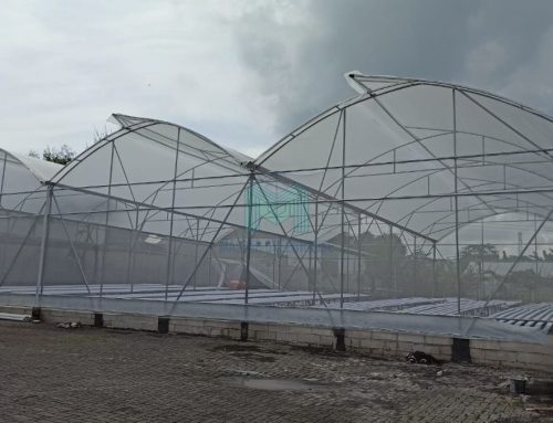 Kelebihan dan Kekurangan Menggunakan Greenhouse