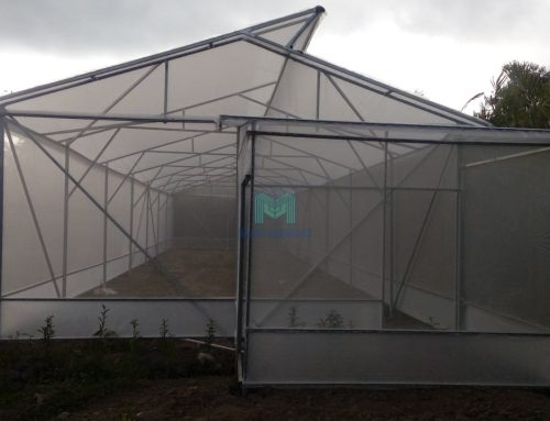 Pembuatan Greenhouse di Tempel – Sleman