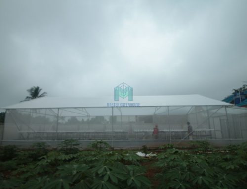 Pembuatan Greenhouse dan Instalasi Hidroponik di Cibungbulang – Bogor