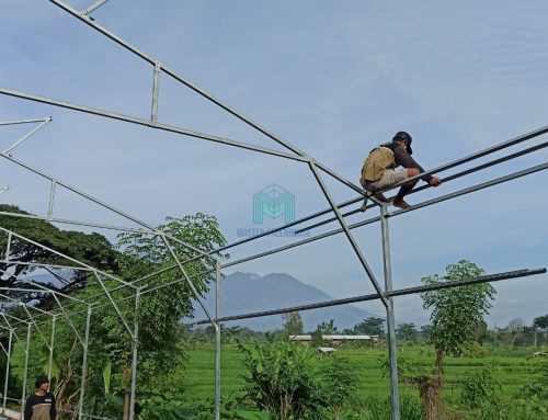 Pembuatan Greenhouse di Pasuruan – Jawa Timur
