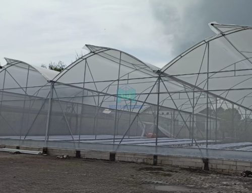 Pembuatan Greenhouse dan Instalasi Hidroponik di Ungaran, Semarang