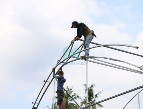 Inilah 5 Alasan Kenapa Memilih Bahan Hollow Galvanis untuk Greenhouse