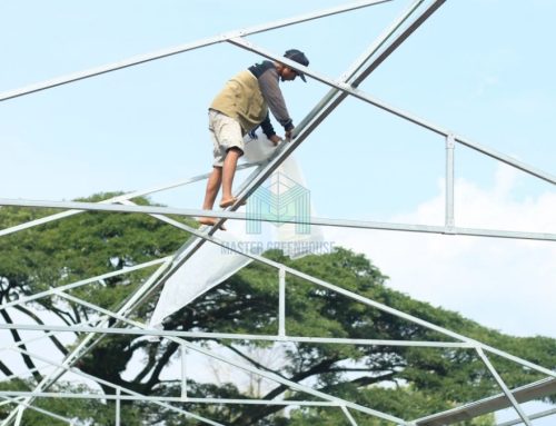 5 Hal yang Perlu Diperhatikan Sebelum Membangun Greenhouse