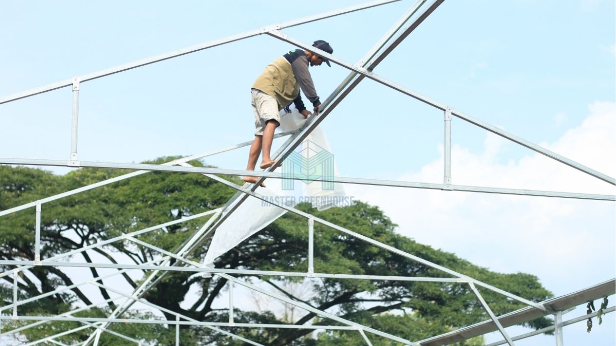 hal yang perlu diperhatikan sebelum membangun greenhouse