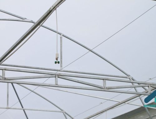 Biaya Bangun Greenhouse: Komponen yang Sering Disembunyikan Vendor