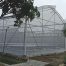 Biaya greenhouse skala komersial antara murah dan layak produksi