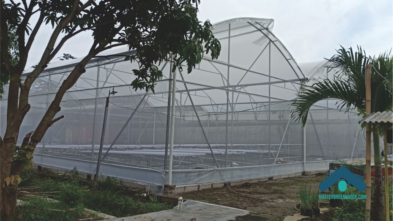 Biaya greenhouse skala komersial antara murah dan layak produksi