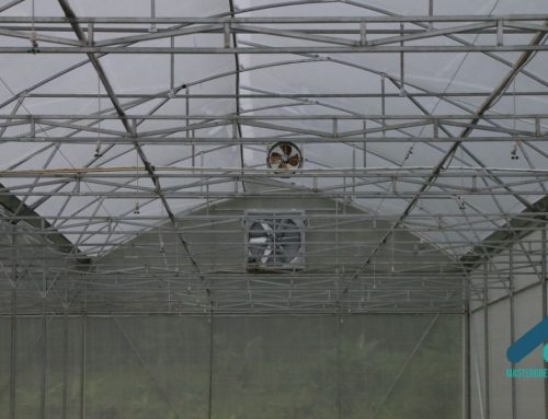 Estimasi Biaya Greenhouse: Cara Menghitung Sebelum Salah Anggaran