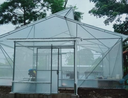Greenhouse Edukasi vs Produksi: Perbedaan Kebutuhan yang Tidak Bisa Disamakan