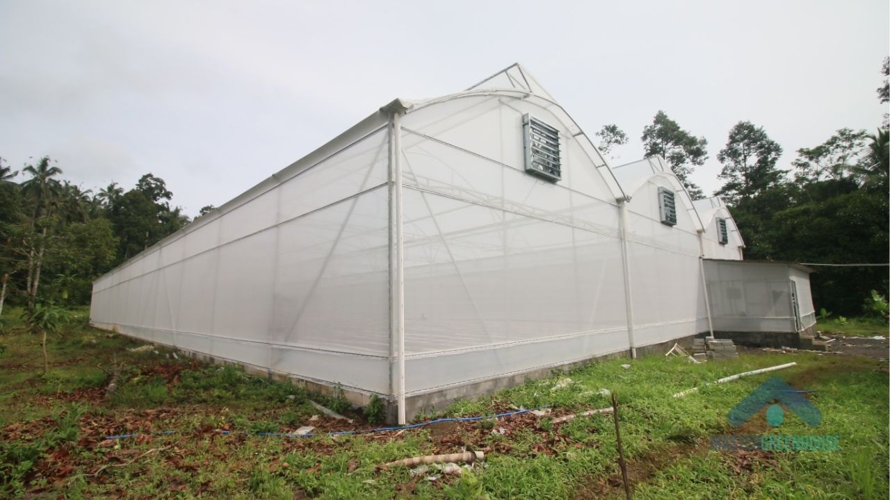 Greenhouse produksi tidak cocok untuk semua orang dan menuntut kesiapan sistem serta tujuan yang jelas