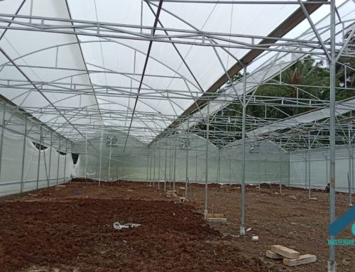 Harga Greenhouse per Meter: Kenapa Angka Ini Sering Menyesatkan