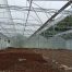 Harga greenhouse per meter tidak mencerminkan sistem dan risiko produksi