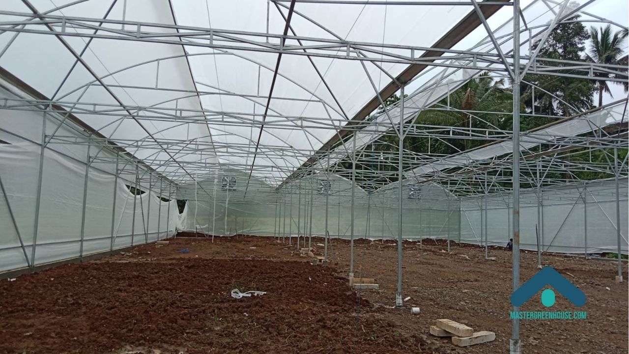 Harga greenhouse per meter tidak mencerminkan sistem dan risiko produksi