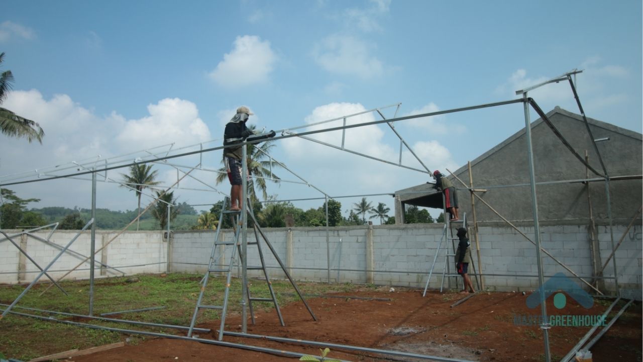 Mengapa harga greenhouse tidak bisa ditentukan di awal tanpa tujuan dan sistem yang jelas