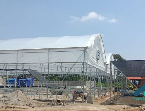 Harga Pembuatan Greenhouse: Apa yang Membuat Biaya Bisa Berbeda Jauh