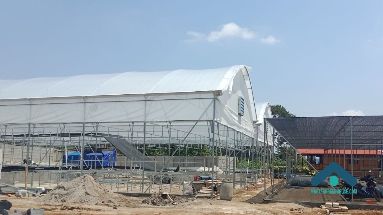Perbedaan harga pembuatan greenhouse berdasarkan sistem dan kebutuhan produksi