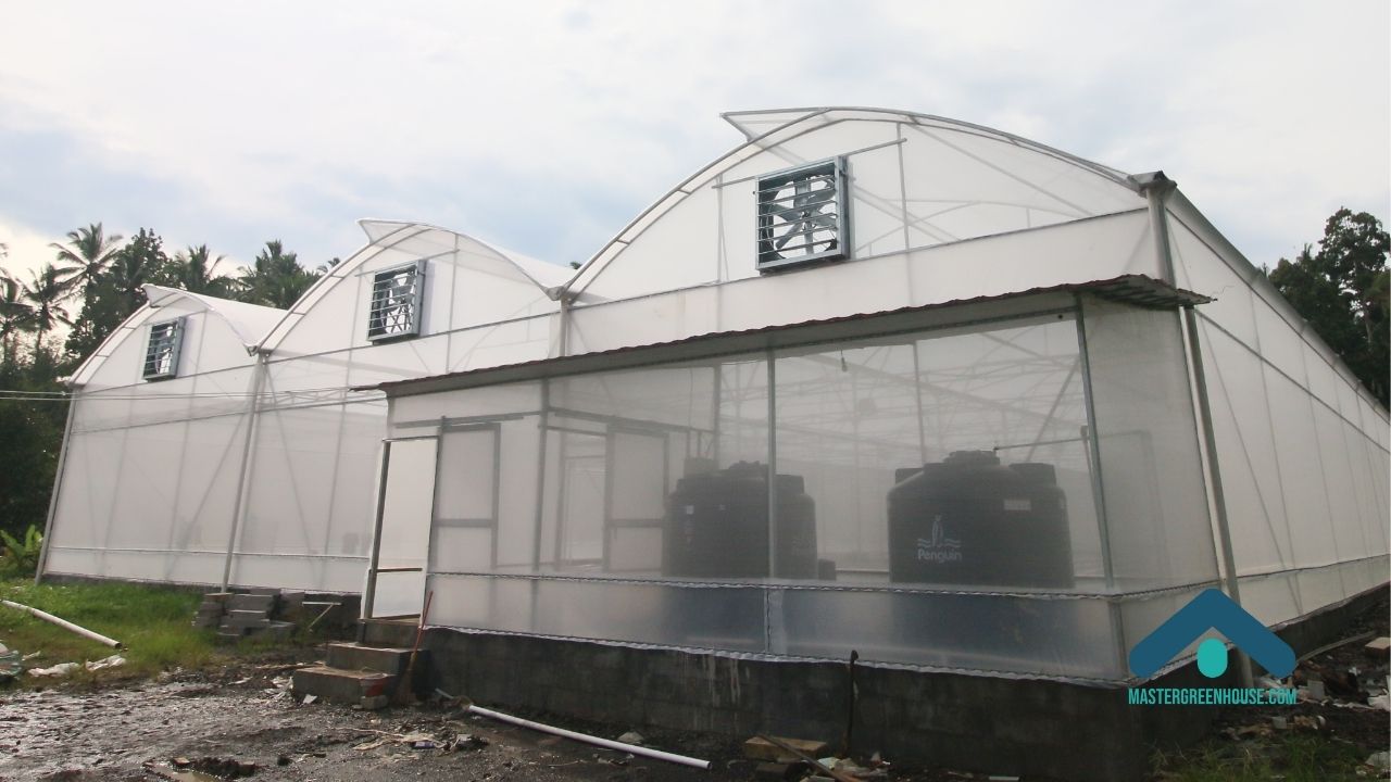 Jasa pembuatan greenhouse untuk produksi skala komersial dengan pendekatan sistem produksi