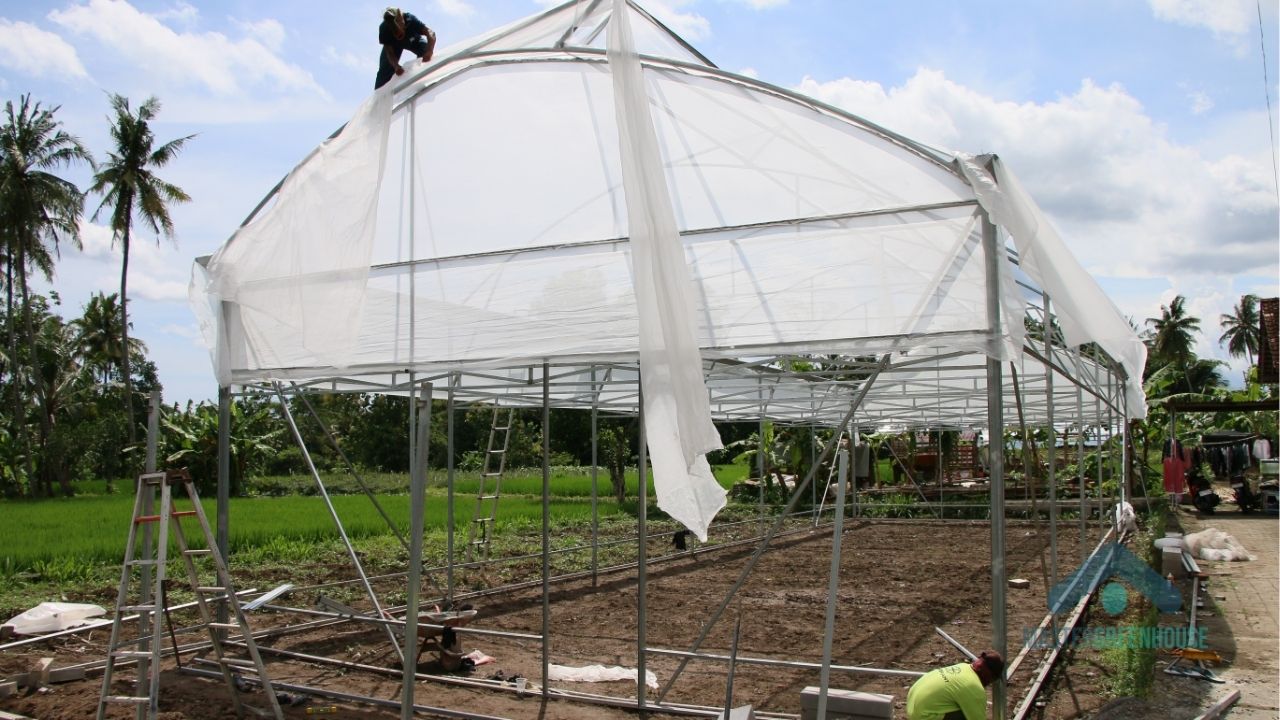 Kapan proyek greenhouse sebaiknya ditunda berdasarkan kesiapan tujuan, lahan, dan sistem