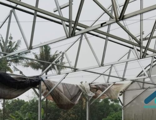 Kesalahan Membangun Greenhouse yang Baru Terlihat Setelah Produksi Jalan