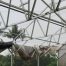 Kesalahan membangun greenhouse yang berdampak saat produksi berjalan