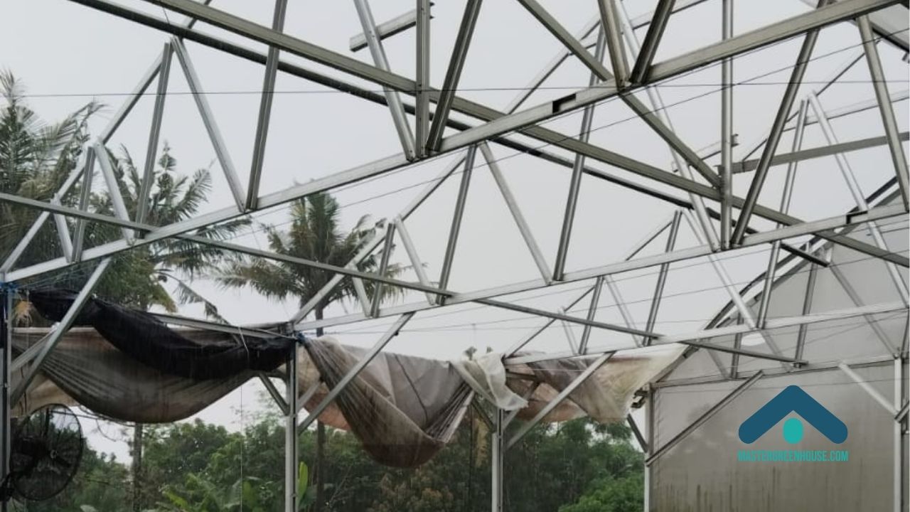 Kesalahan membangun greenhouse yang berdampak saat produksi berjalan
