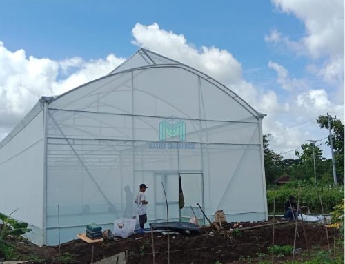 Pembangunan Greenhouse Melon Hidroponik di Gunung Kidul